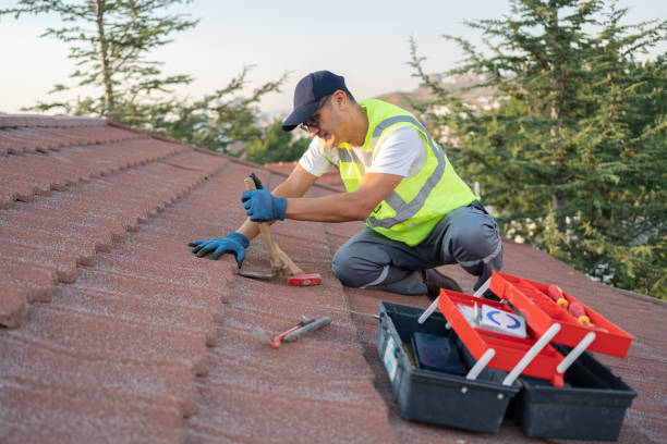 Best Flat Roof Repair Services  in Lagrange, IN